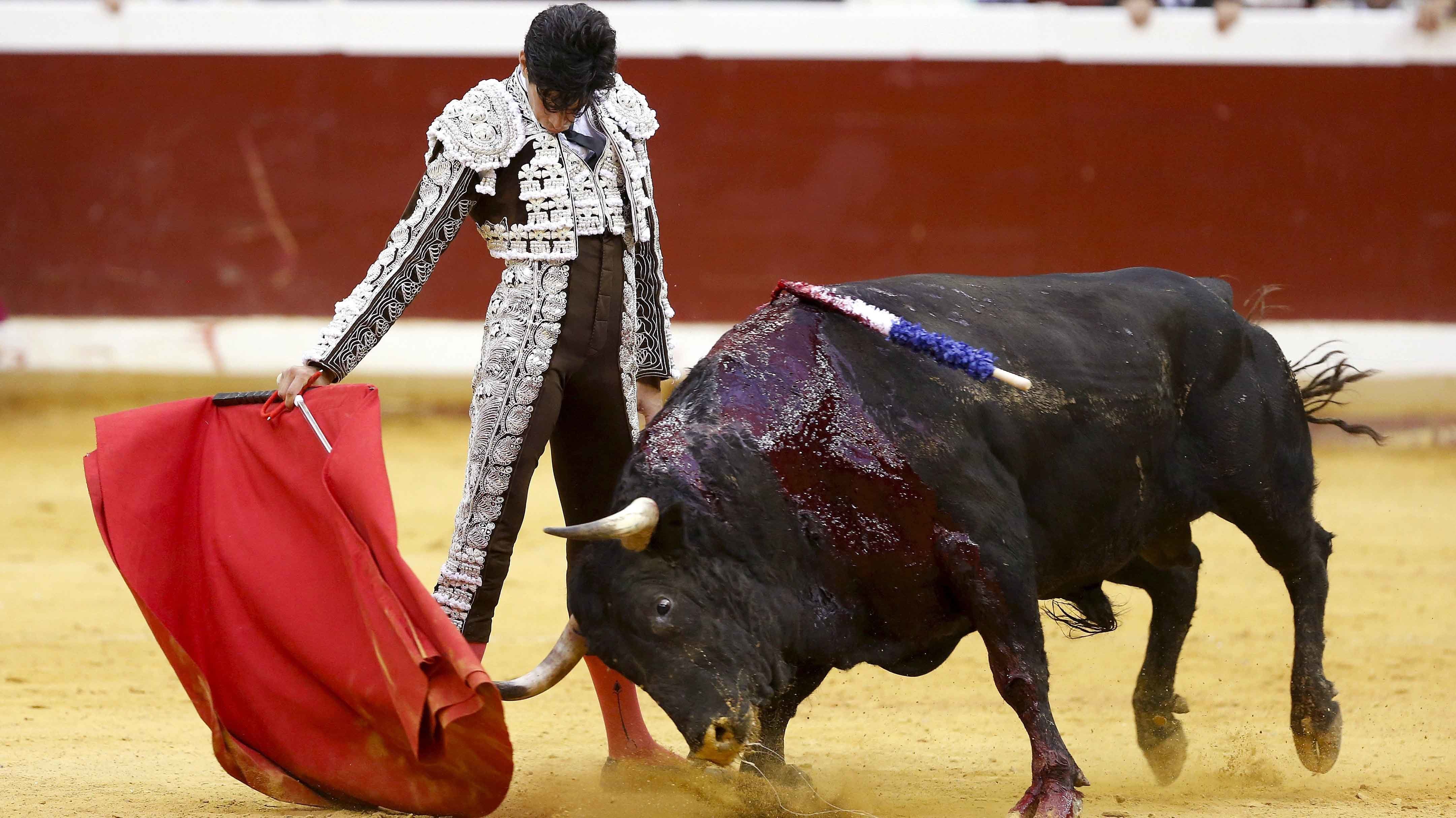 Diputada presenta iniciativa para prohibir las corridas de toros. Foto: EFE, Juan Herrero.