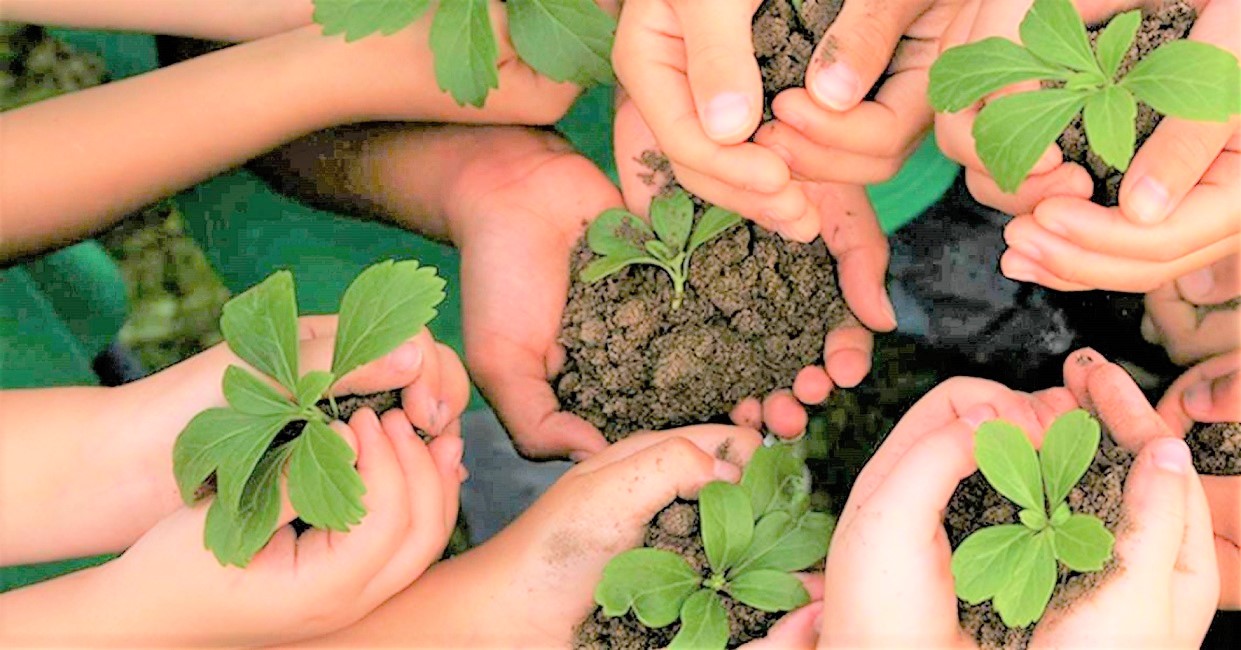 La mejor manera para contrarrestar la contaminación es la educación ambiental: Expertos