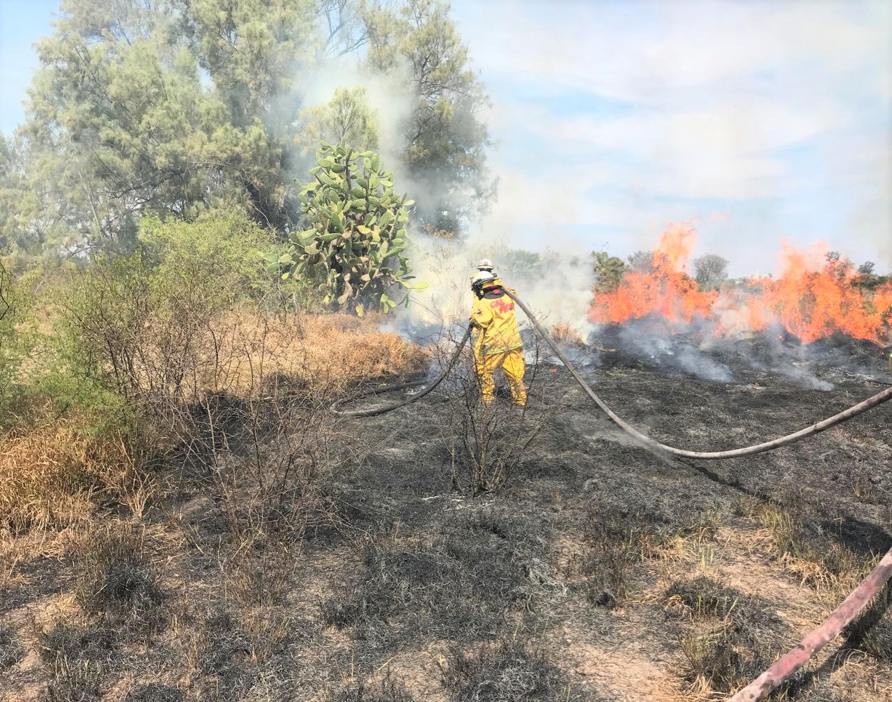 Van 52 incendios en Corregidora. Foto: Internet de carácter informativo.