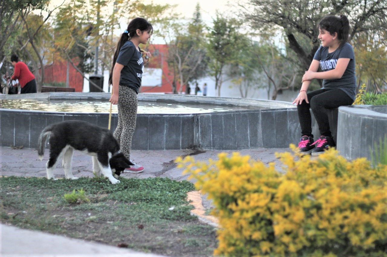 Corregidora, en tercer sitio del indicador General de Ingresos Municipal.