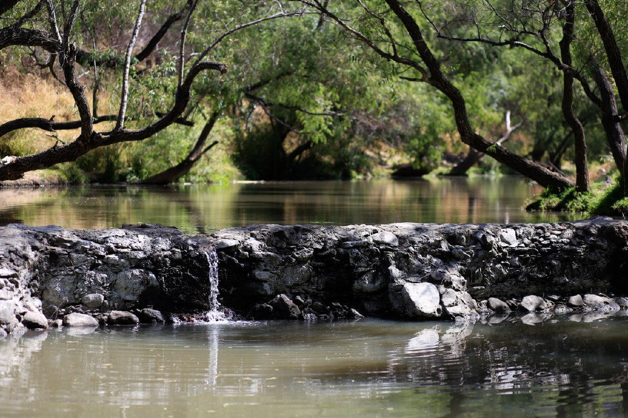 Saneamiento del Río el Pueblito contribuye a que la flora y fauna se recuperen.