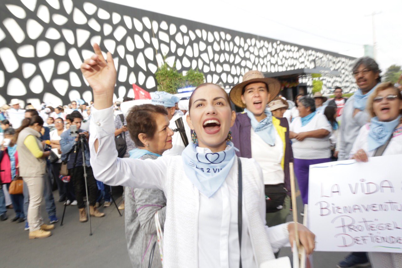 AMLO principal promotor del aborto: Elsa Méndez