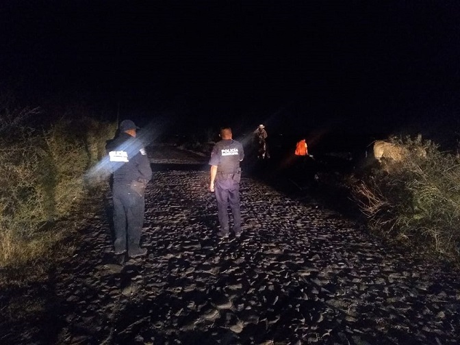 Frustran robo de ganado en Ajuchitlancito, Pedro Escobedo