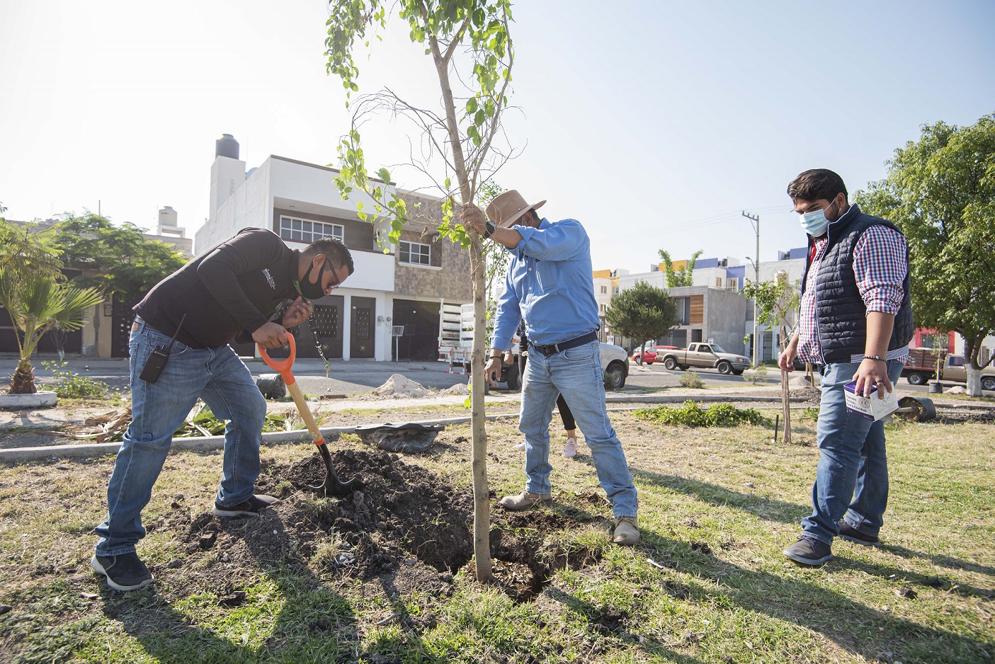 El Marqués inicia programa para reforestación en el Fraccionamiento "La Pradera".