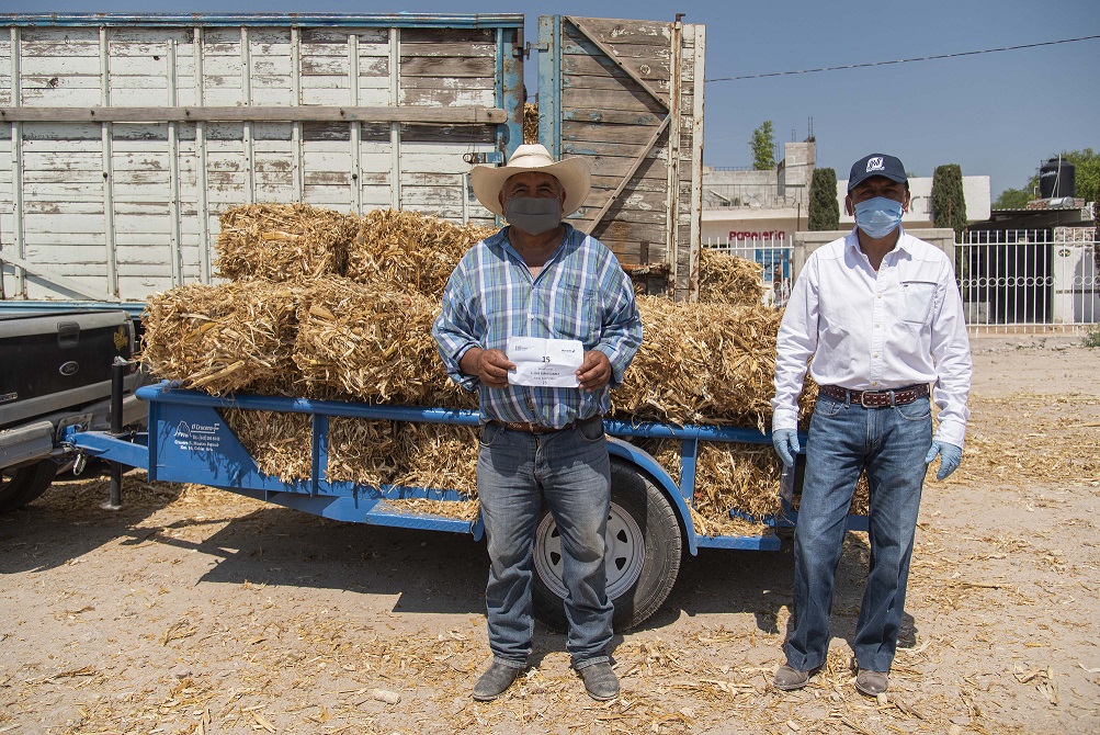 Entregan 22 mil forrajes a productores de El Marqués afectados por la sequía.