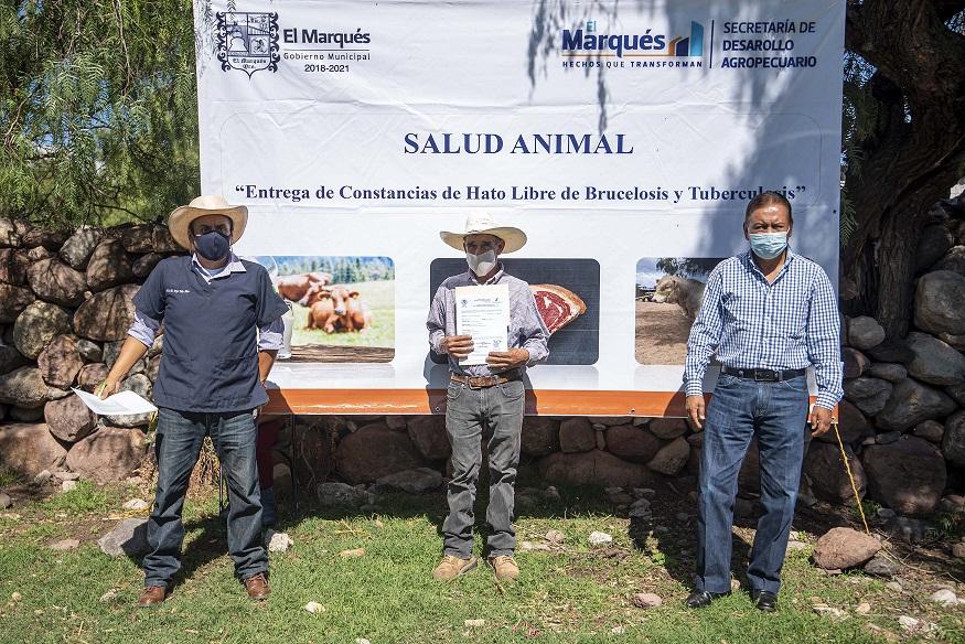 Entregan a productores pecuarios de La Laborcilla, dictámenes y constancias de hato libre de brucelosis y tuberculosis