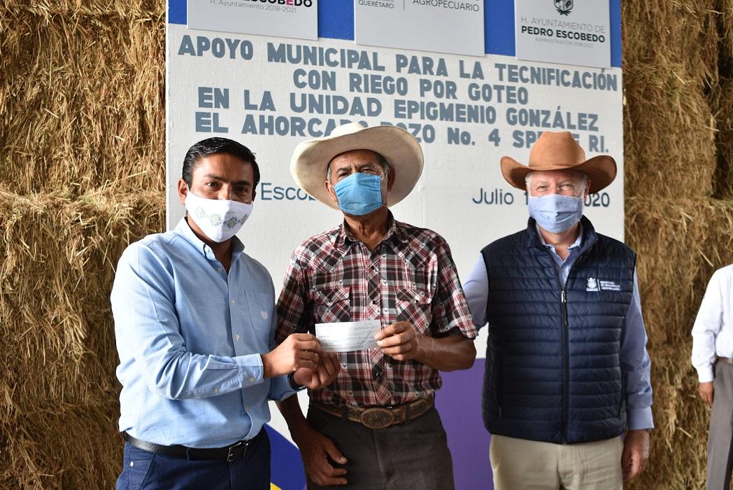 Tecnifican más de 90 hectáreas de riego por goteo en Pedro Escobedo.