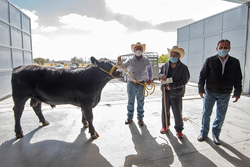 Entregan apoyos a productores del sector ganadero de El Marqués