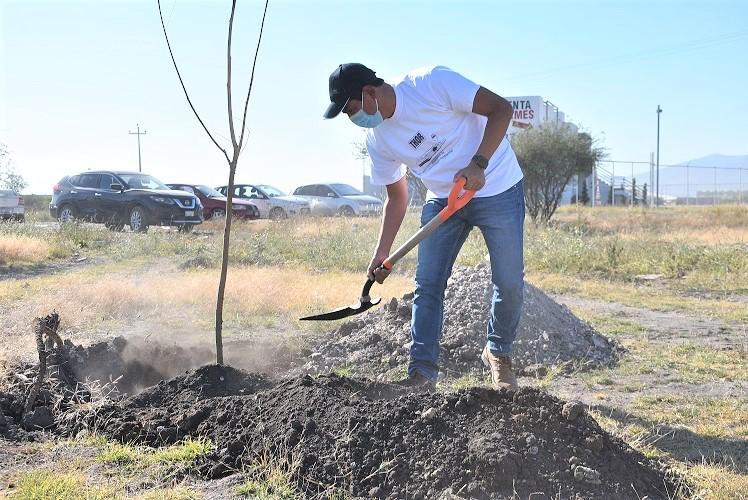 Realizan acciones de reforestación en el Libramiento Bicentenario en Pedro Escobedo.