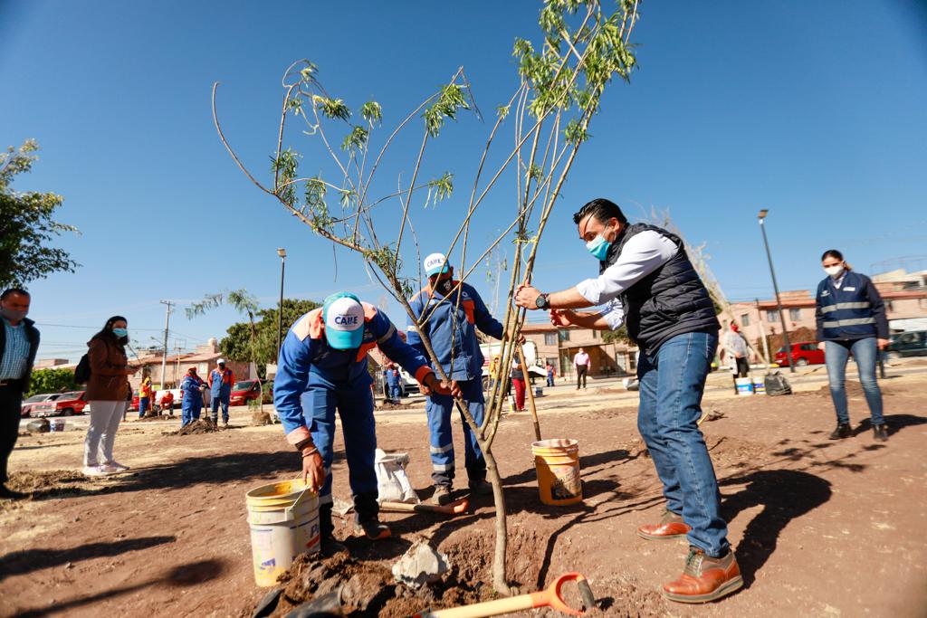 Luis Nava encabeza jornada de reforestación en el Parque Choles en Cerrito Colorado.