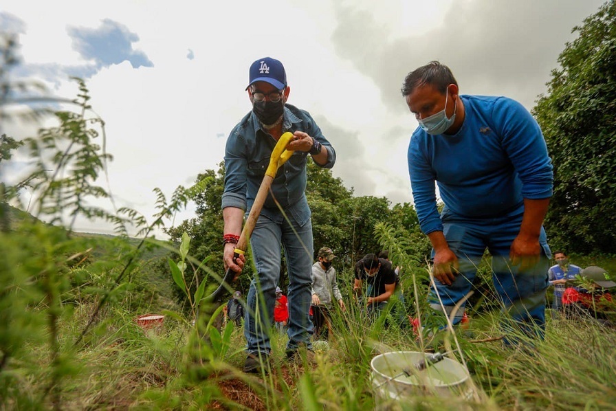 Municipio de Querétaro realiza jornada de reforestación en el Parque Joya la Barreta