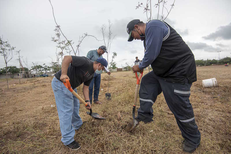 Realizan jornada de reforestación en San José Navajas, El Marqués