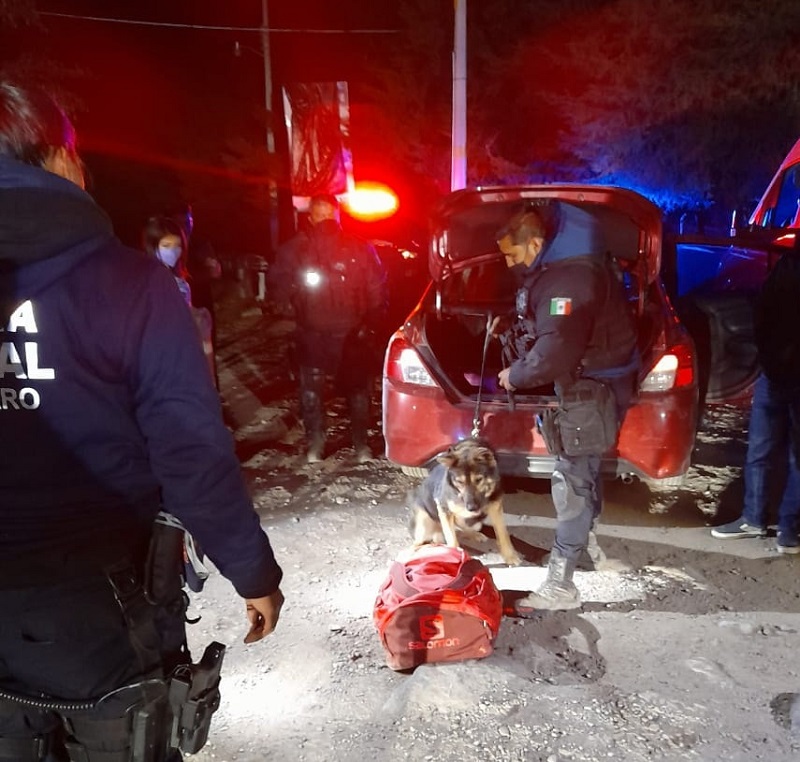 Canino detecta marihuana en un coche que transitaba por Pinal de Amoles