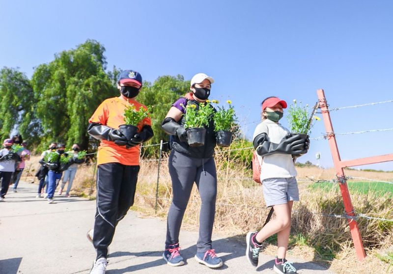 Realizan primera jornada de reforestación de espacios públicos en San Juan del Río.