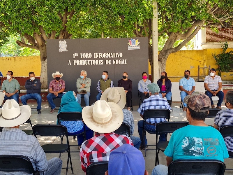 Realizan en Peñamiller foro informativo a productores de nuez