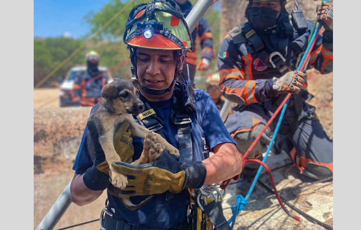 Rescatan a perrita que cayó a noria de 70 metros en El Marqués