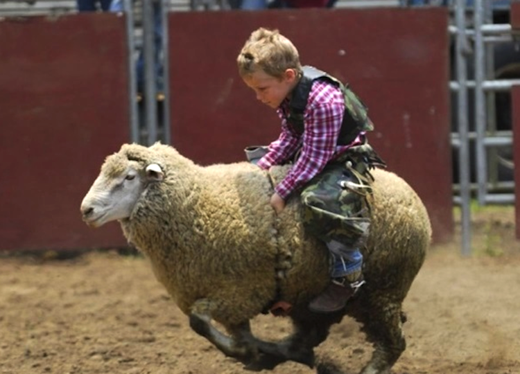 Se realizará jaripeo para niños en Peñamiller el 30 de abril 2022