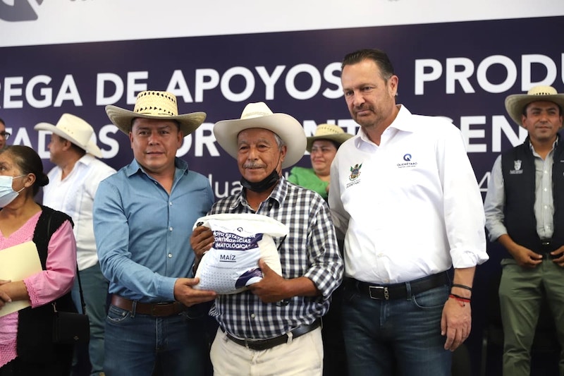 199 productores de Peñamiller reciben apoyo del seguro catastrófico.