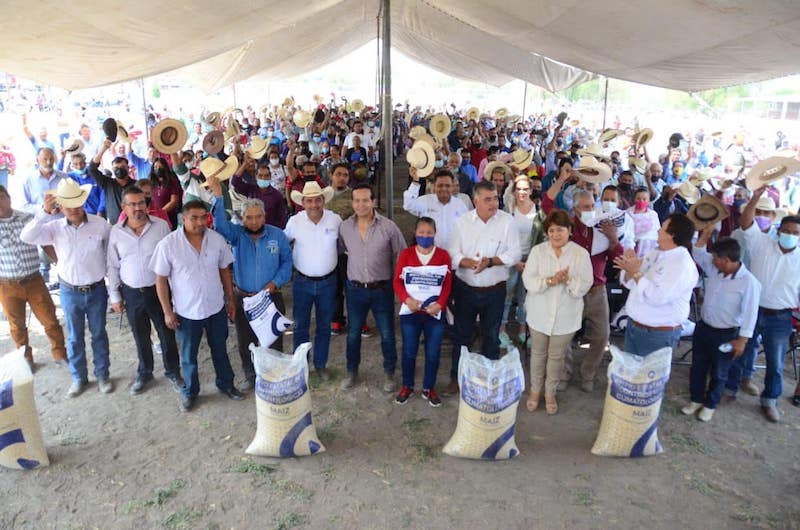 Entregan 484 toneladas de maíz a mil 79 agricultores en Colón