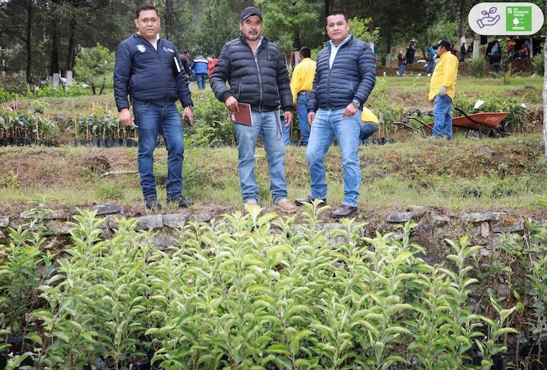 Se realiza en Pinal de Amoles el primer tianguis de Plantas Frutales.