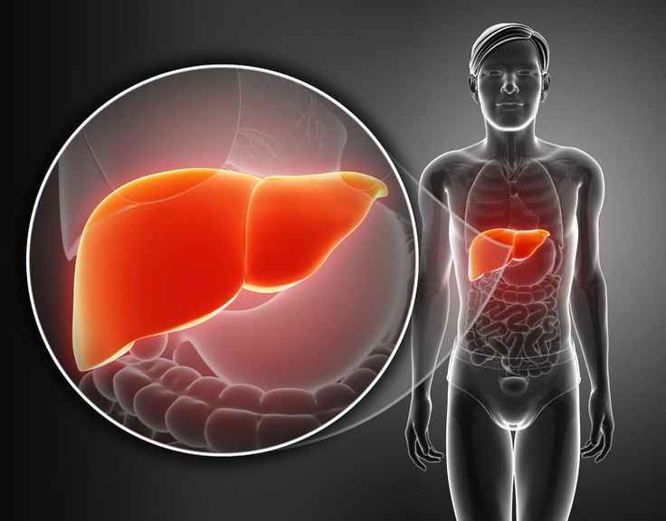 Algunas medidas para prevenir la Hepatitis A y E