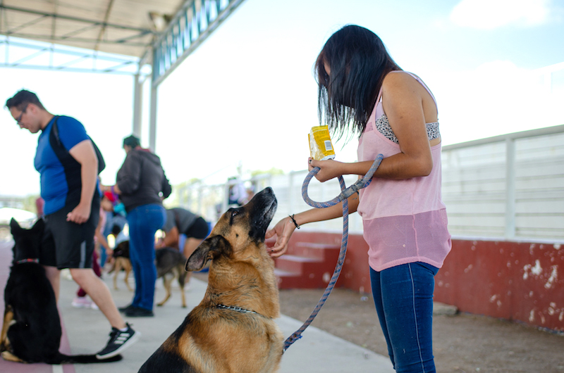 En La Griega realizan jornada para mejorar convivencia entre personas y mascotas.