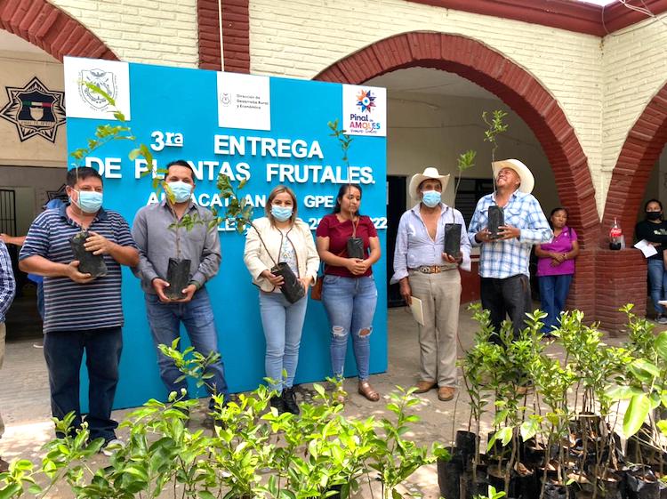 Entrega Lupita Ramírez Plaza 1,800 árboles frutales a productores agrícolas de Pinal de Amoles