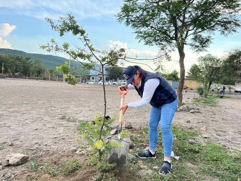 #MedioAmbiente Se realiza Jornada de #Reforestación en Dolores de Ajuchitlancito. Estas acciones en favor del medio ambiente son impulsadas por el Gobierno Municipal que encabeza Amarildo Bárcenas.