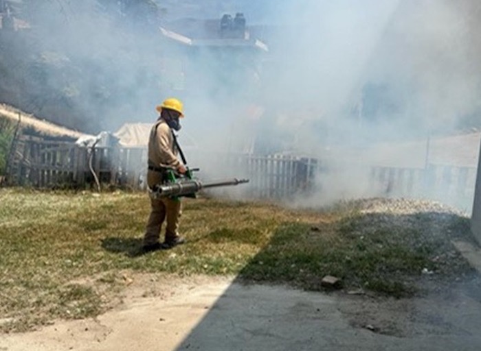 Arroyo Seco y Tolimán, los más afectados por el dengue en Querétaro