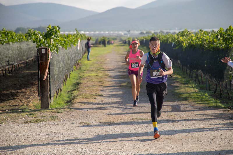 Llega la edición 2024 de la Carrera Xtrail Bernal-Viñedos