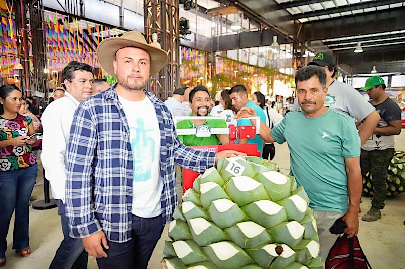 Esta es la piña de agave más pesada de Oaxaca