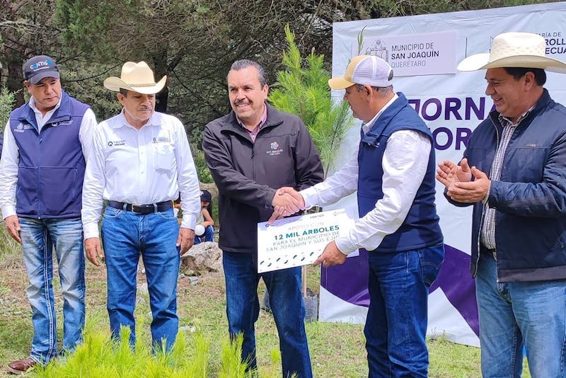 San Joaquín recibe 12 mil árboles para reforestación