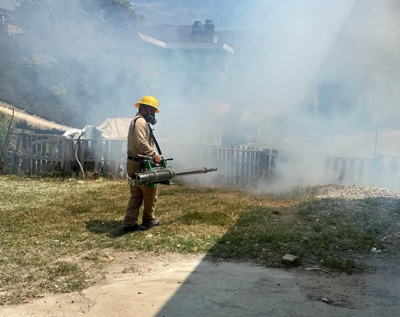 Siguen aumentando los casos de dengue en Querétaro