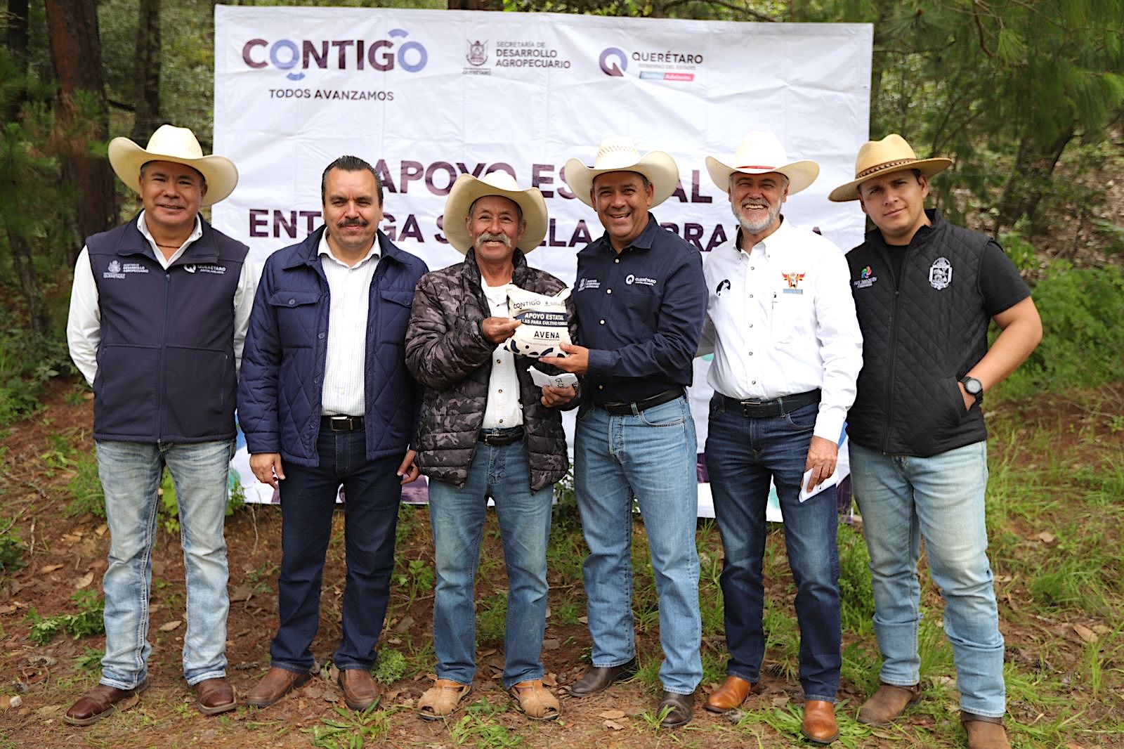 Entrega de semilla de avena forrajera beneficia a San Joaquín, Peñamiller y Tolimán.