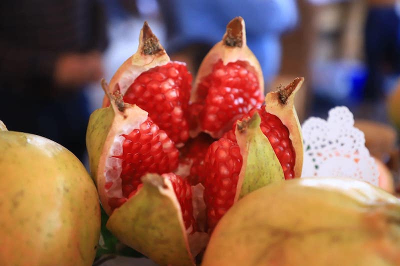 Feria de la Granada y la Pitahaya en Apaseo el Alto atraerá a 13 mil visitantes