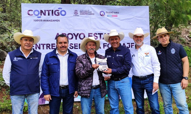 Ganaderos de San Joaquín reciben más de 4 toneladas de semilla de avena.