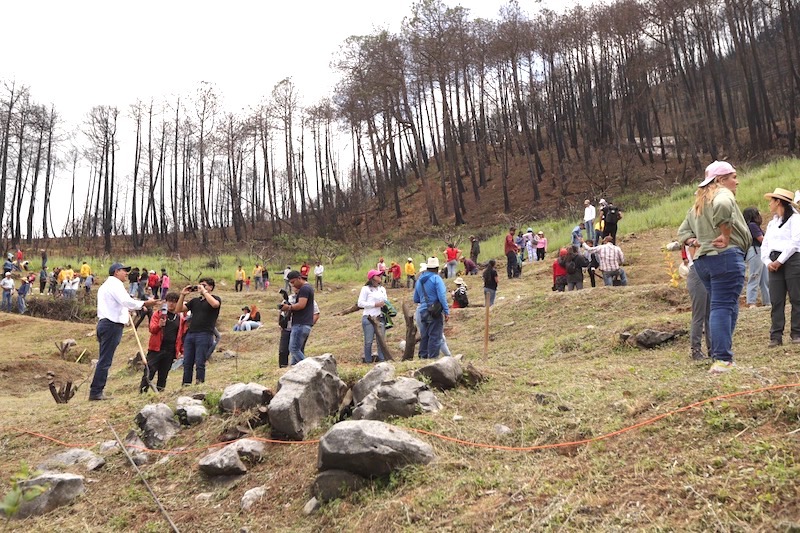 Reforestan y restauran suelos en Cadereyta de Montes