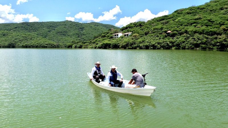 Siembran 30 mil alevines en la Presa de Jalpan.