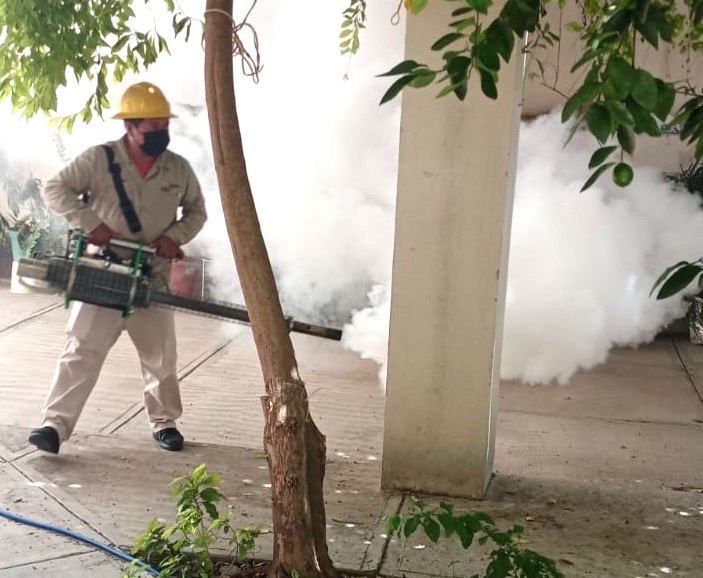 Avanza el Dengue en Querétaro se acumulan 752 casos