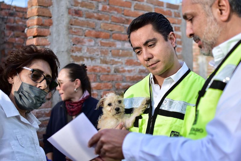 Avanza construcción del Centro Integral de Bienestar Animal en Querétaro