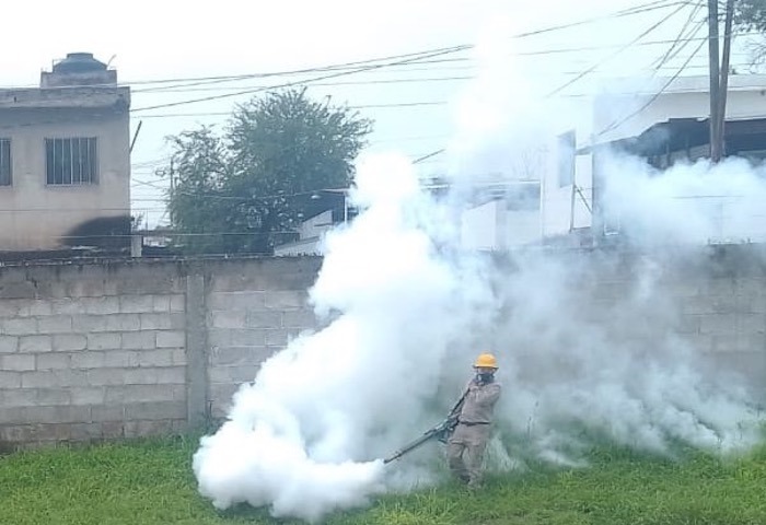 Casos positivos de dengue superan los dos mil en Querétaro