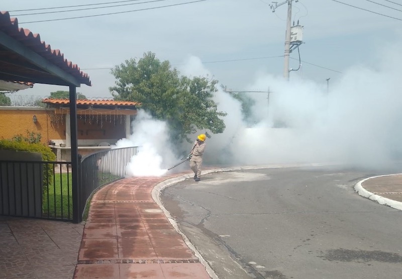 Registra Querétaro dos muertes y 41 casos graves por Dengue