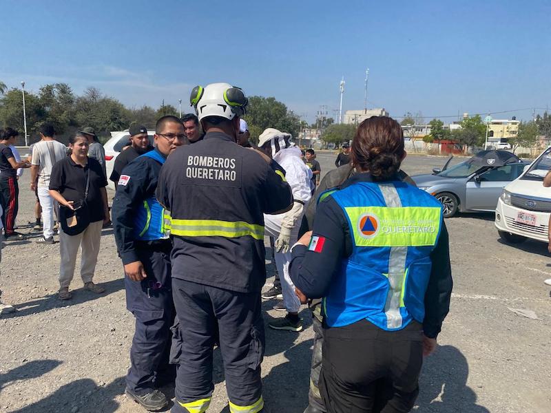 En el Parque Bicentenario de Querétaro 50 personas son picadas por abejas