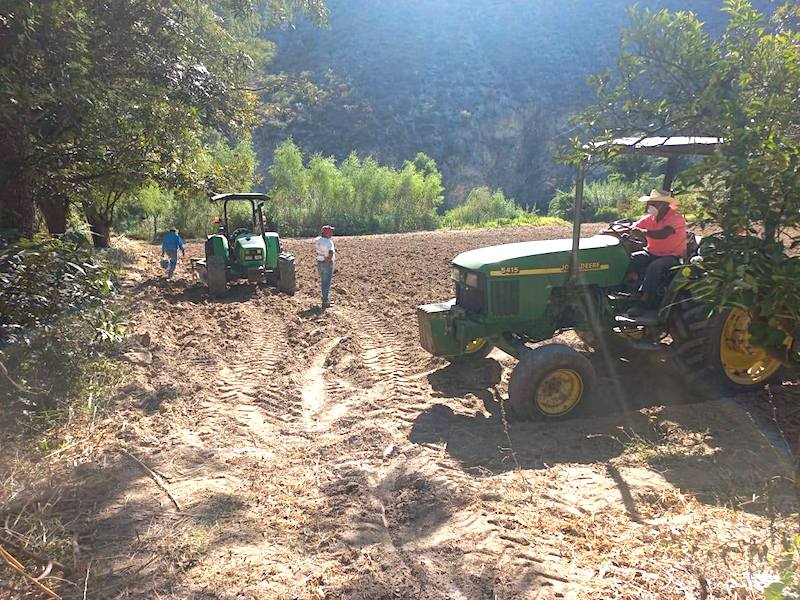 Gobierno de Ana Karen Jiménez apoya a productores en la siembra de avena