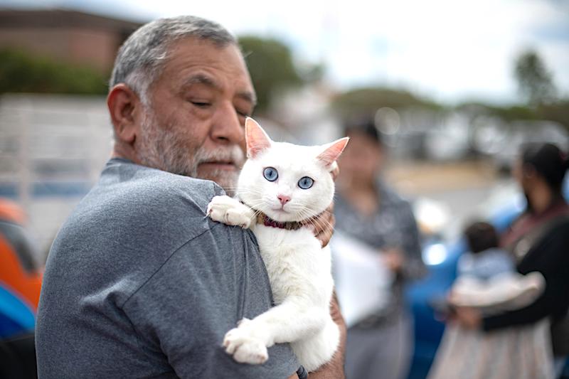 Alcalde de El Marqués Rodrigo Monsalvo fortalece el cuidado animal