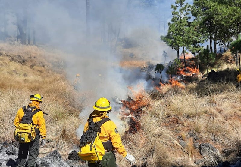 Alistan encuentro nacional ante la temporada de incendios forestales 2025