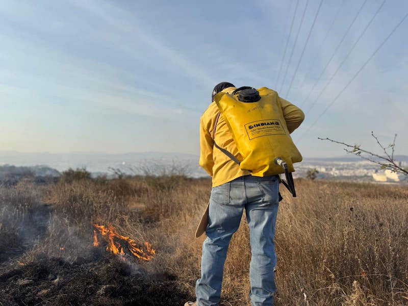 Incendio forestal afecta 100 hectáreas en reserva ecológica El Tángano, Querétaro