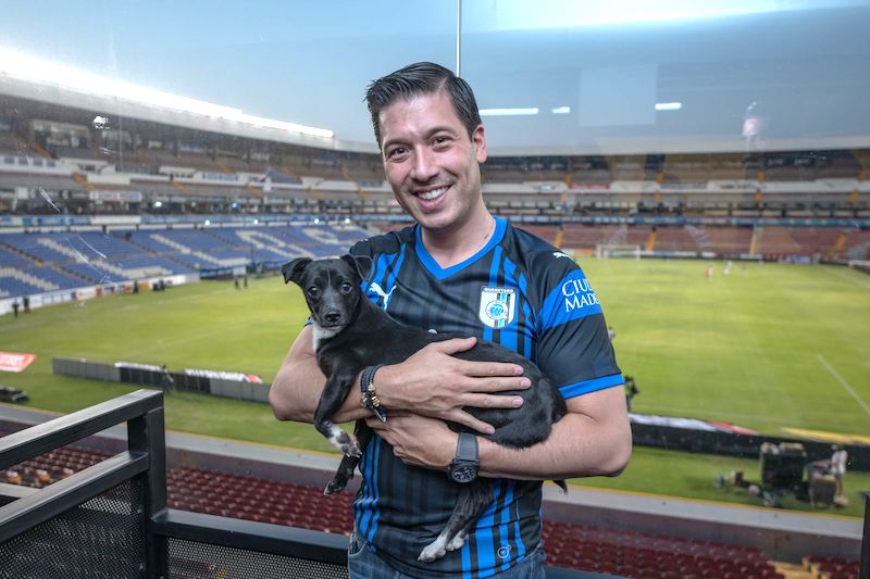 Mascotas para seguridad de asistentes al Estadio Corregidora son certificadas por El Marqués