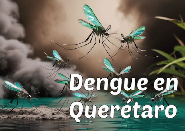 ¿Cómo eliminar criaderos de mosquitos que transmiten el dengue?